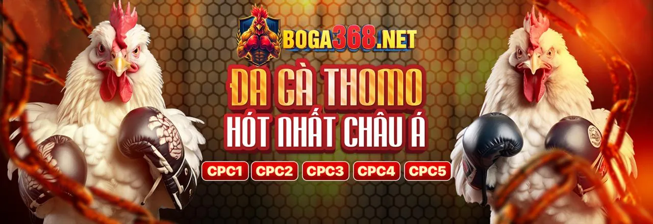 Hình ảnh giới thiệu pc28 win - nền tảng cá cược trực tuyến hàng đầu